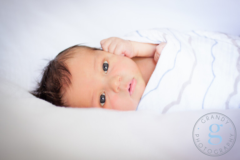 IMG_8388_PSedit-2